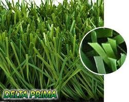 images_061